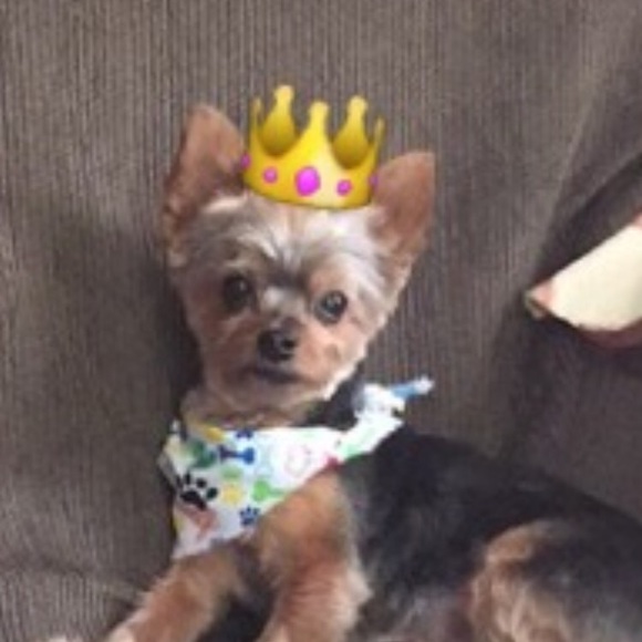 Meet your Posher, Co - Picture 2 of 4